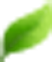 About Images